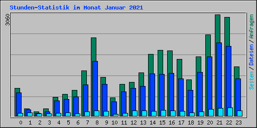 Stunden-Statistik im Monat Januar 2021