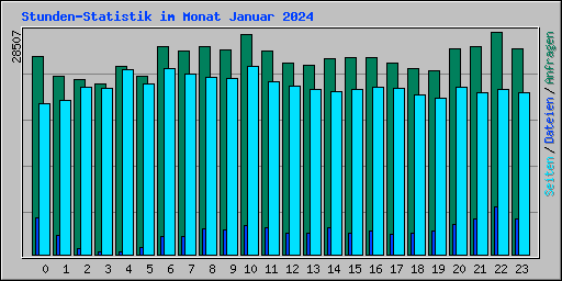 Stunden-Statistik im Monat Januar 2024