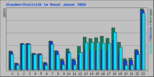 Stunden-Statistik im Monat Januar 2026