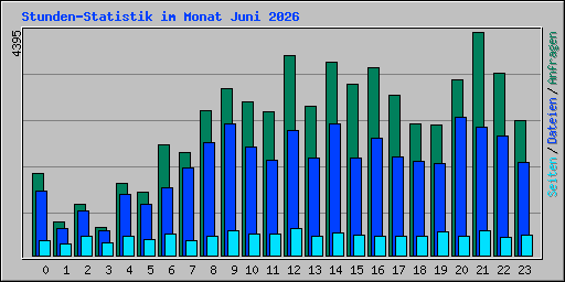 Stunden-Statistik im Monat Juni 2026